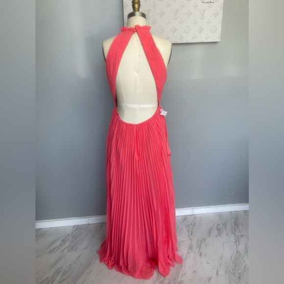 Fame and Partners Ciel Dress- mock neck pleat dress - Picture 4 of 11